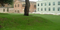 3_don-bosco